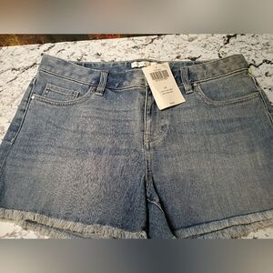 New w/tags Boston Proper Raw Hem High-waisted Shorts 2% Spandex Women's Size 10